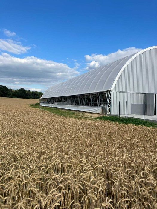 obora wolnostanowiskowa tunelowa