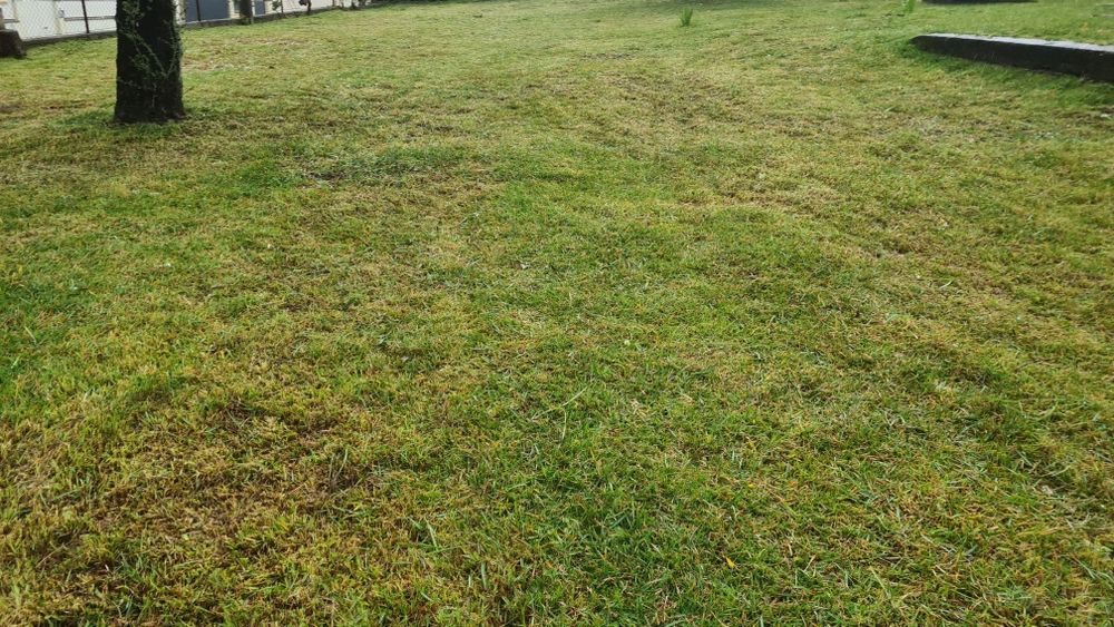 Limpeza florestais  ,terrenos e outros