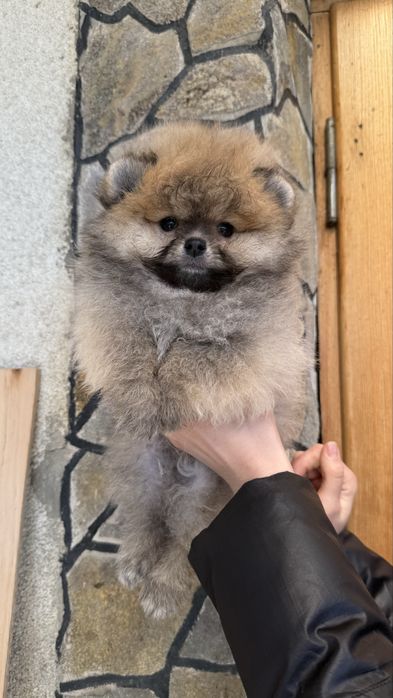 Мальчик руденький