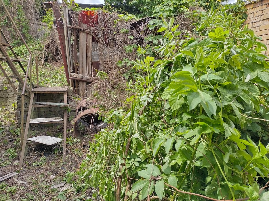 House by the address (area 24 m²) - Atlanta.ua - photo 3