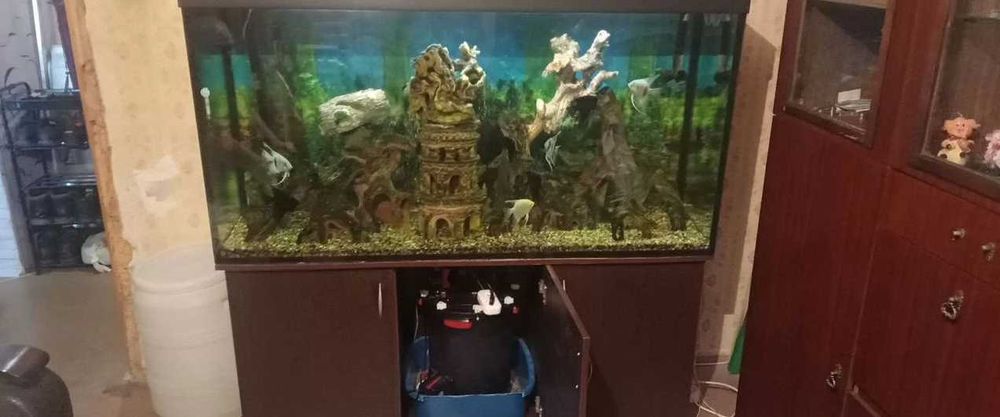 Аквариум с тумбой 560 литров