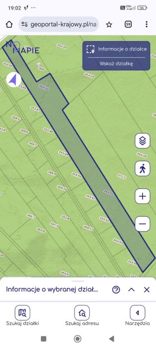 Działka leśna, las sosnowy, pogranicze Wilgi i Skurczy