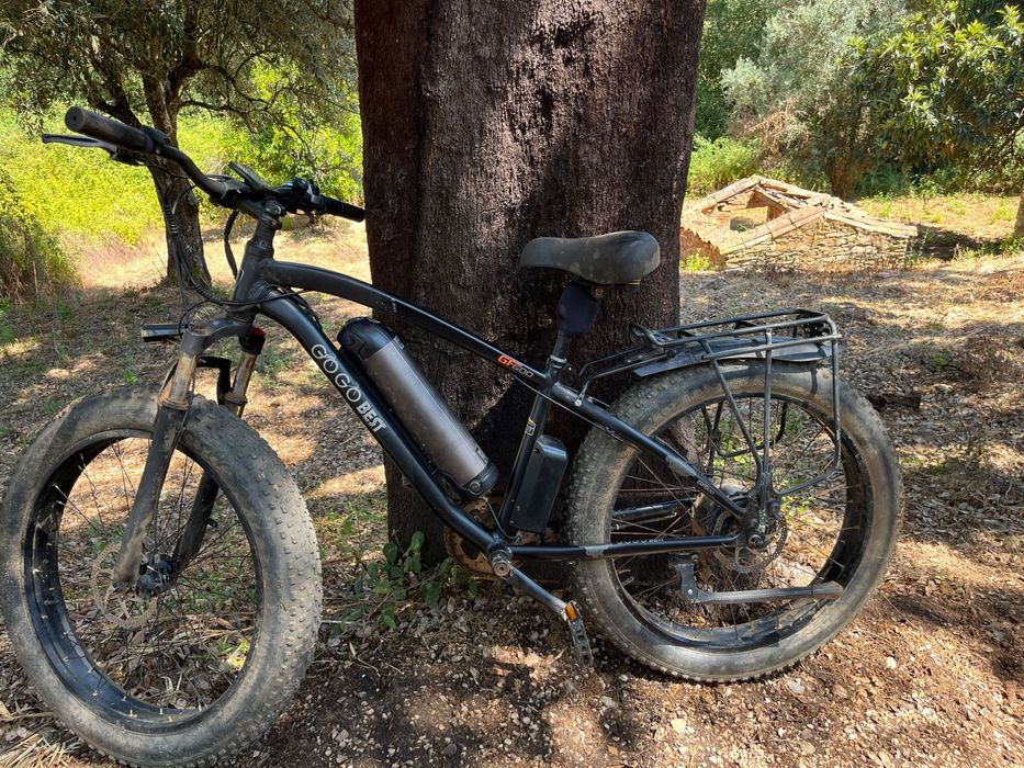 Bicicleta electrica