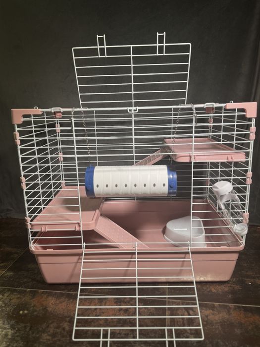 Морська свинка , guinea pig та апартамегти для них