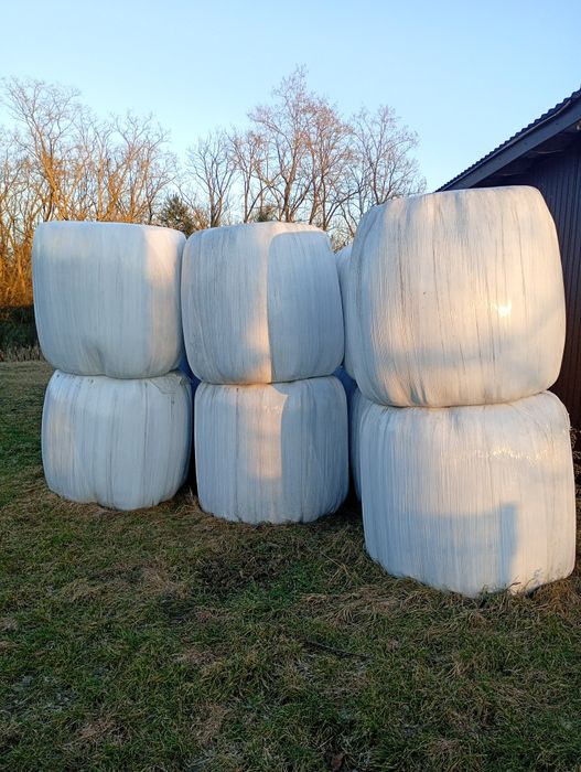 Siano kiszonka - baloty PILNE