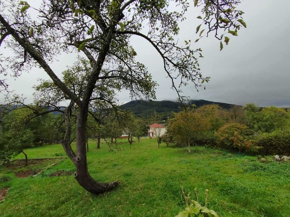 Чудовий будинок в курортному місті Косів на великій ділянці!