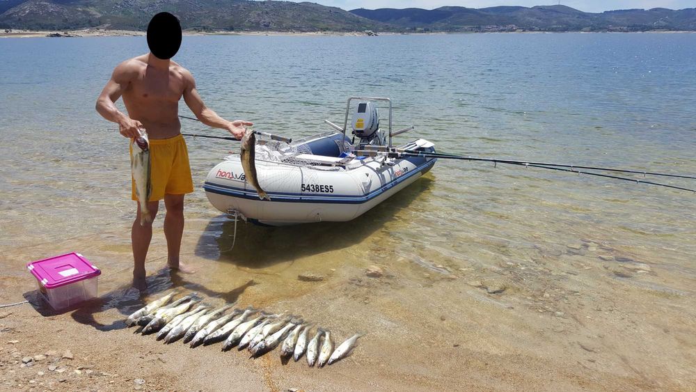 Barco Pneumatico Honda Honwave 3.2 + Motor 4T + Palamenta completa