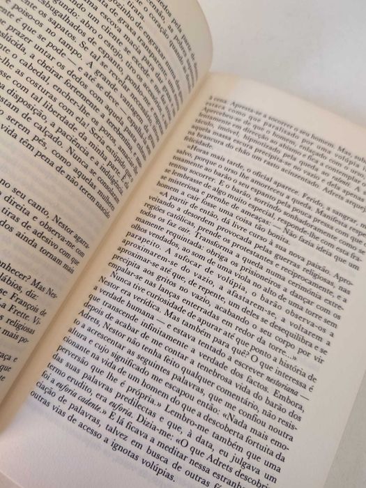 Livro - O Rei dos Álamos (ctt editorial grátis)