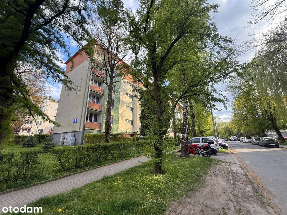 3-pokojowe, zadbane, niski blok, zielone osiedle, blisko centrum