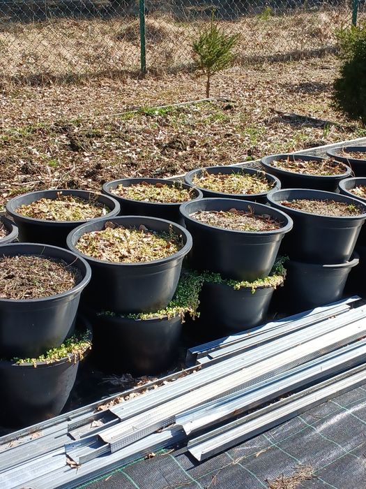 Doniczki ogrodowe doniczki do upraw