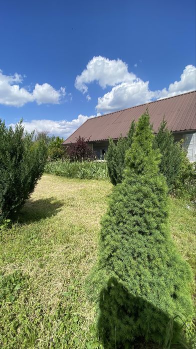 Панорама на р. Дніпро м. Ржищів 15 соток+ Будинок