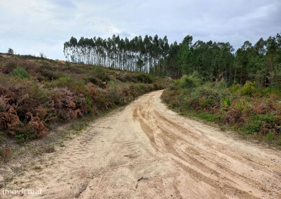 Terreno no Juncal — Juncal, Leiria