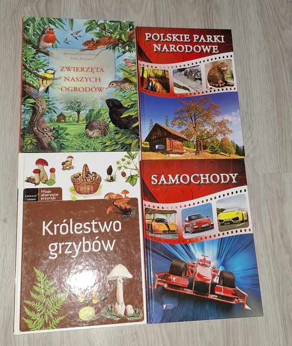 Książki  młodzieżowe