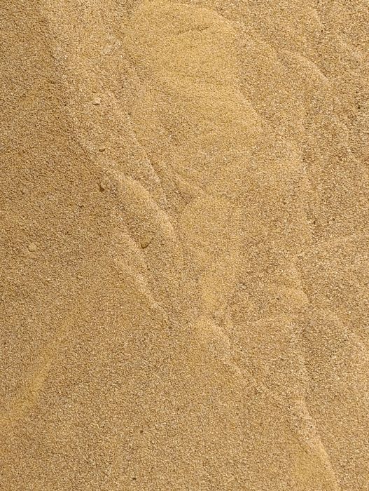 DDGS Kukurydziany sypki