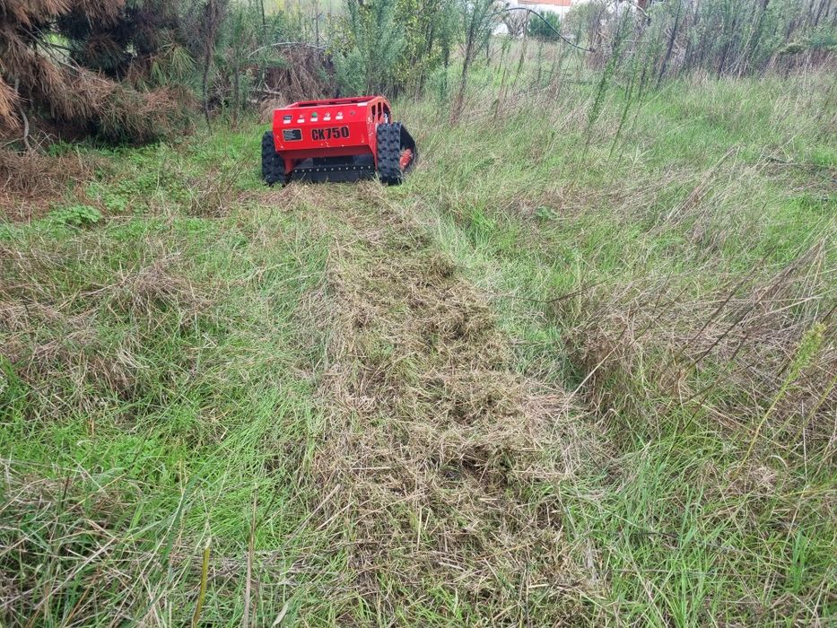 Roça Mato tobot autónomo