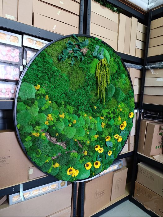 Картини з Мохом. Декор із Моху. Фітопанель з Моху