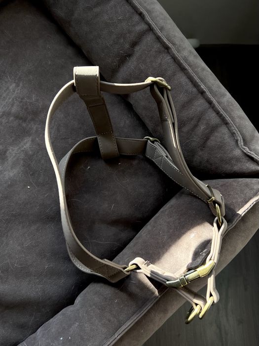 Амуніція / шлея для собаки середніх та великих порід