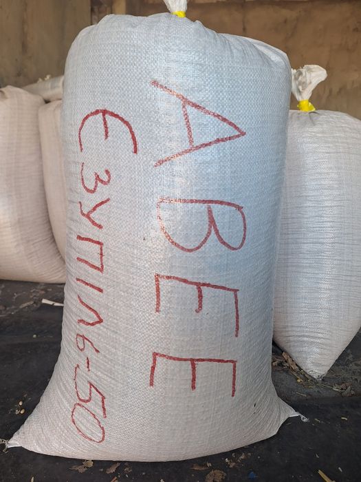 Канадська соя АББІ 1-А РЕПРОДУК на ПОСІВ! Рання Відправка НП! Делівері