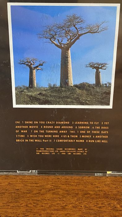 Pink Floyd Album “Delicated Sound of Thunder” LIVE