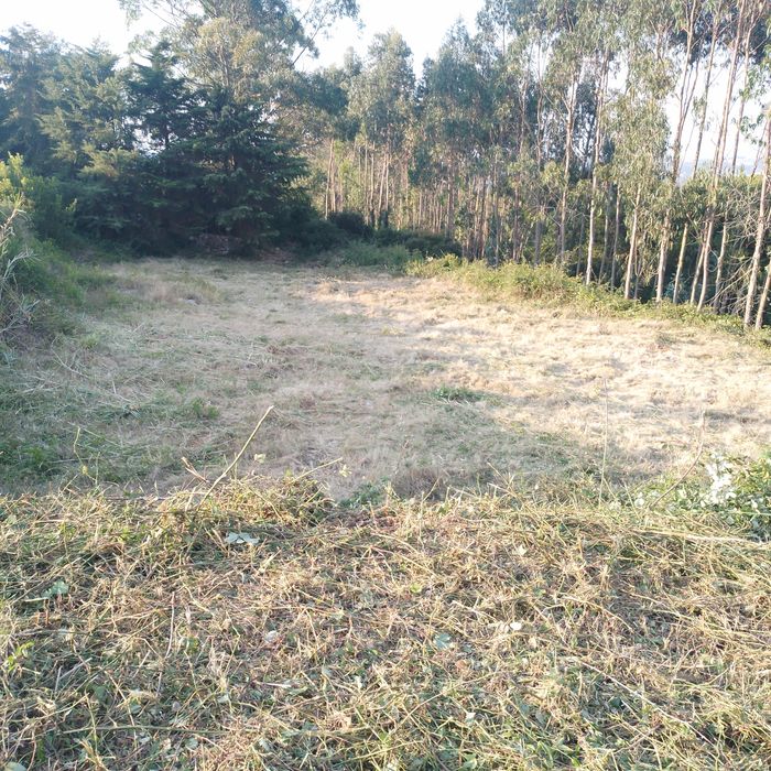 Prestação de serviços