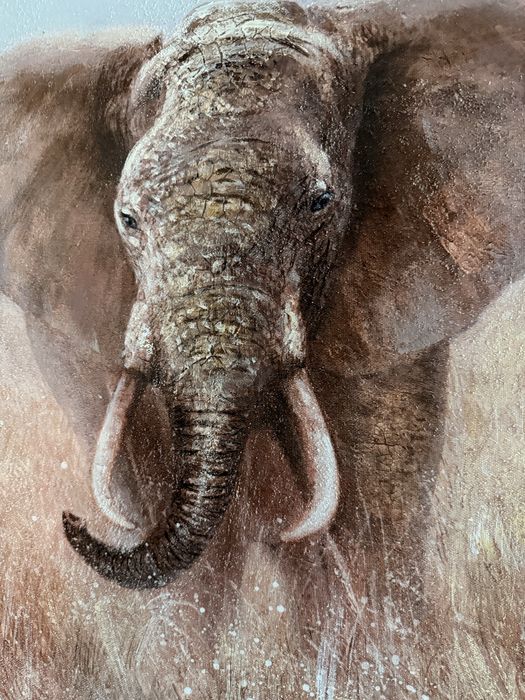 Quadro decorativo elefante