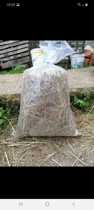 Vendo feno para roedores