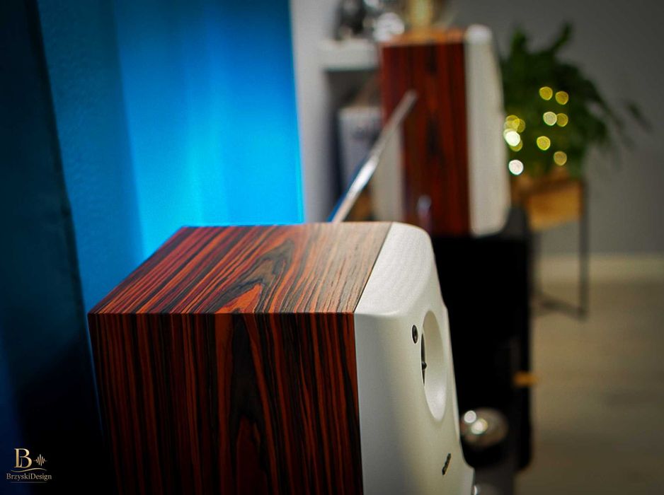 Kolumny Technics po renowacji - piękne!