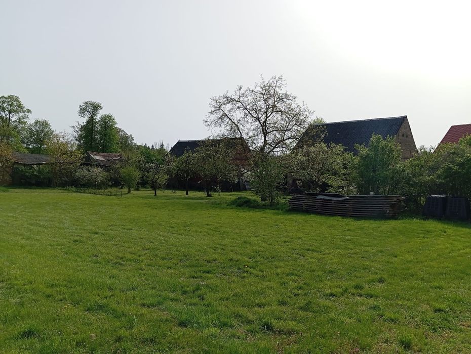 Sprzedam dom w Dąbroszynie