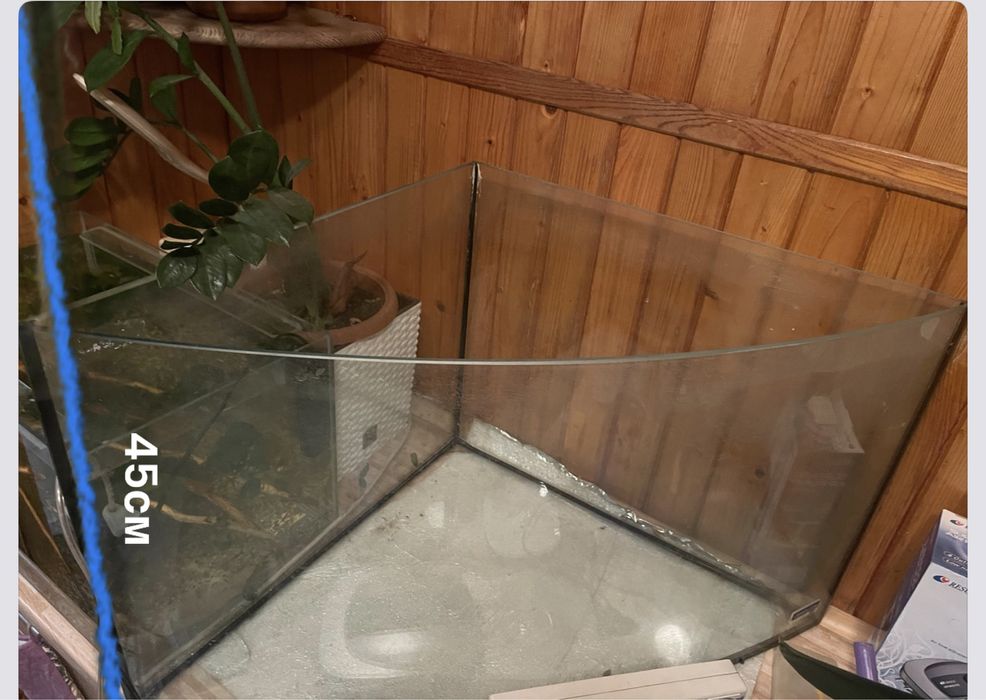 Аквариум трикутний