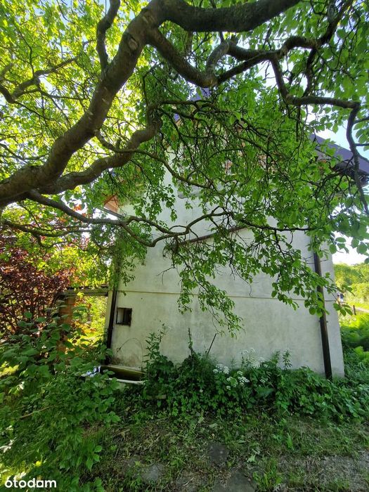 ROD Janiska Kołobrzeg - Widok 3