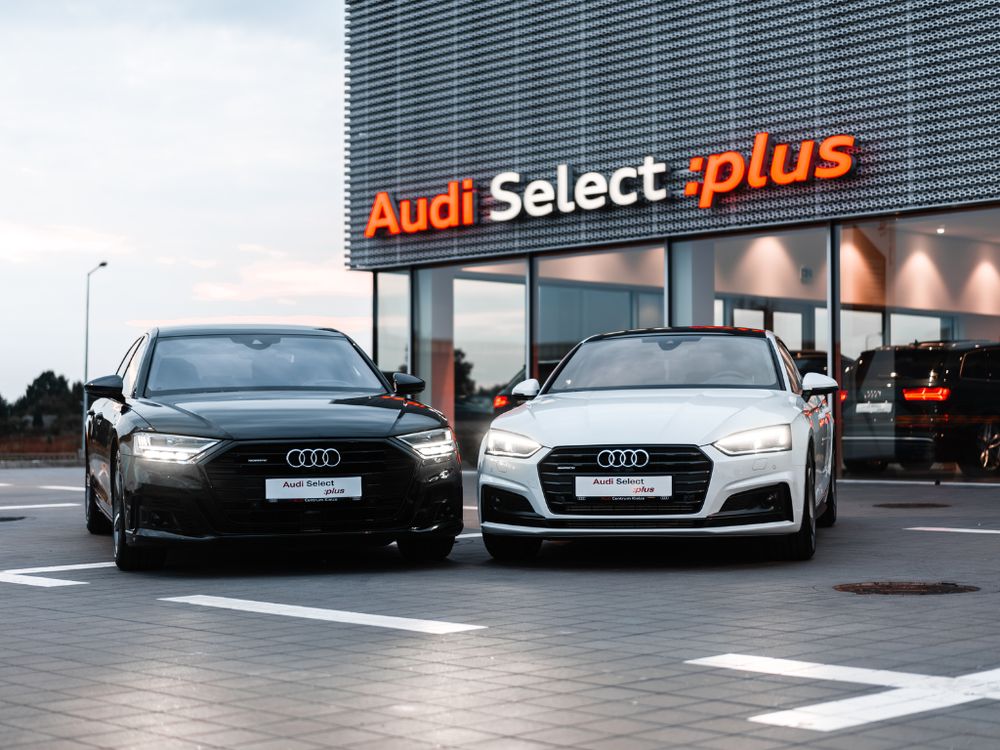 business-site-gallery-photo