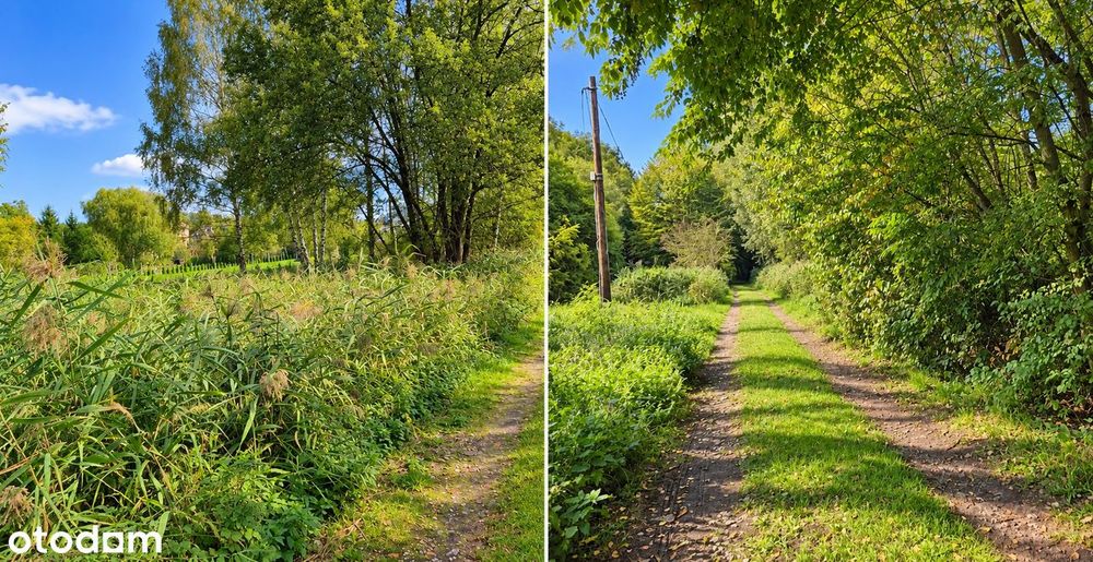 Na sprzedaż działka budowlana, Olkusz, Mazaniec