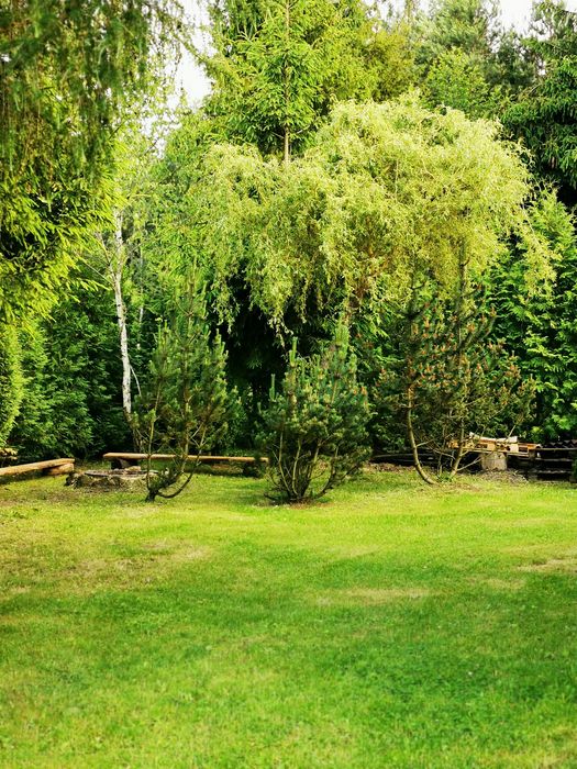 Domek letniskowy na Roztoczu Guciów - Letniczówka