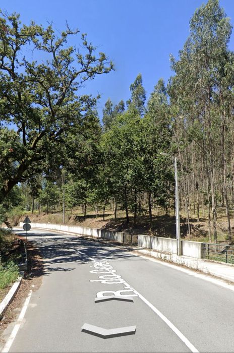 Terreno com cerca de 2 hectares e 70m frente EN309 - Famalicão