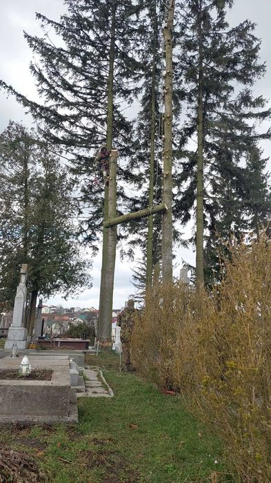 Обрізка складних,важкодоступних дерев Львів та область