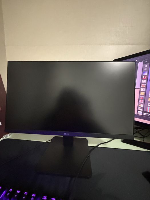 Monitor 100hz 22”