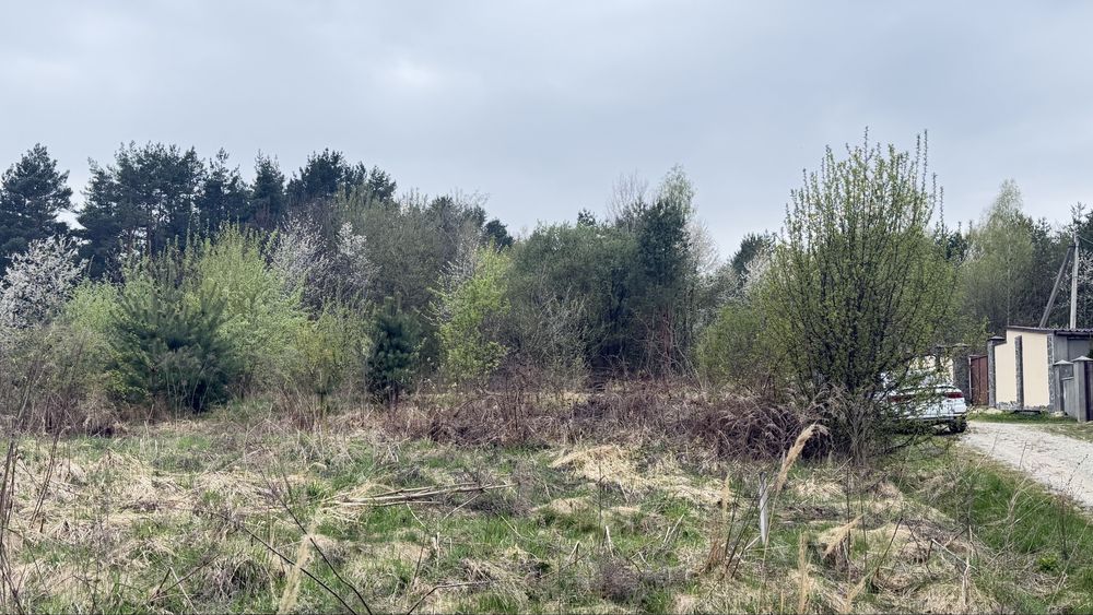 Продам 21 сотих Ліс  Терміново