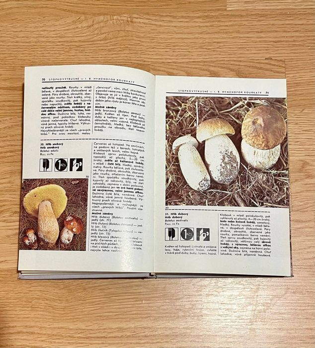 Книга про грибы на чешском