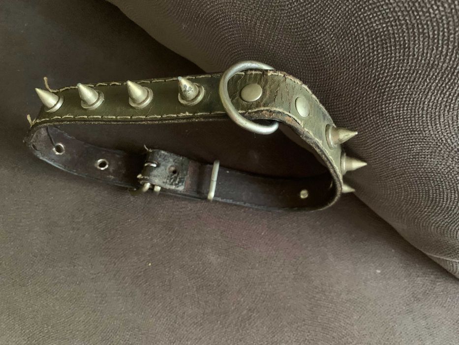 Для собаки шуба  Повод  ошейник COLLAR брезент . Намор металл, кожа.
