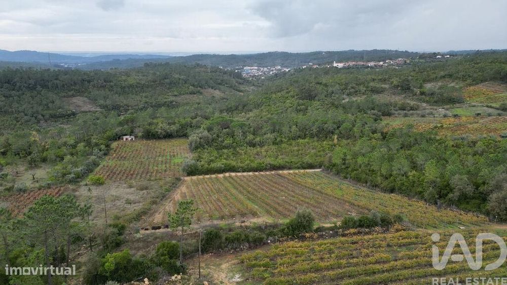 Terreno Agrícola em Condeixa-a-Velha e Condeixa-a-Nova