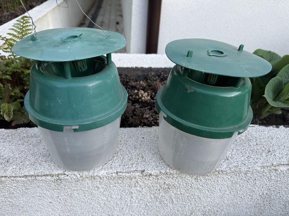 Pułapka FEROMONOWA na ĆMĘ Bukszpanową - 2 szt .