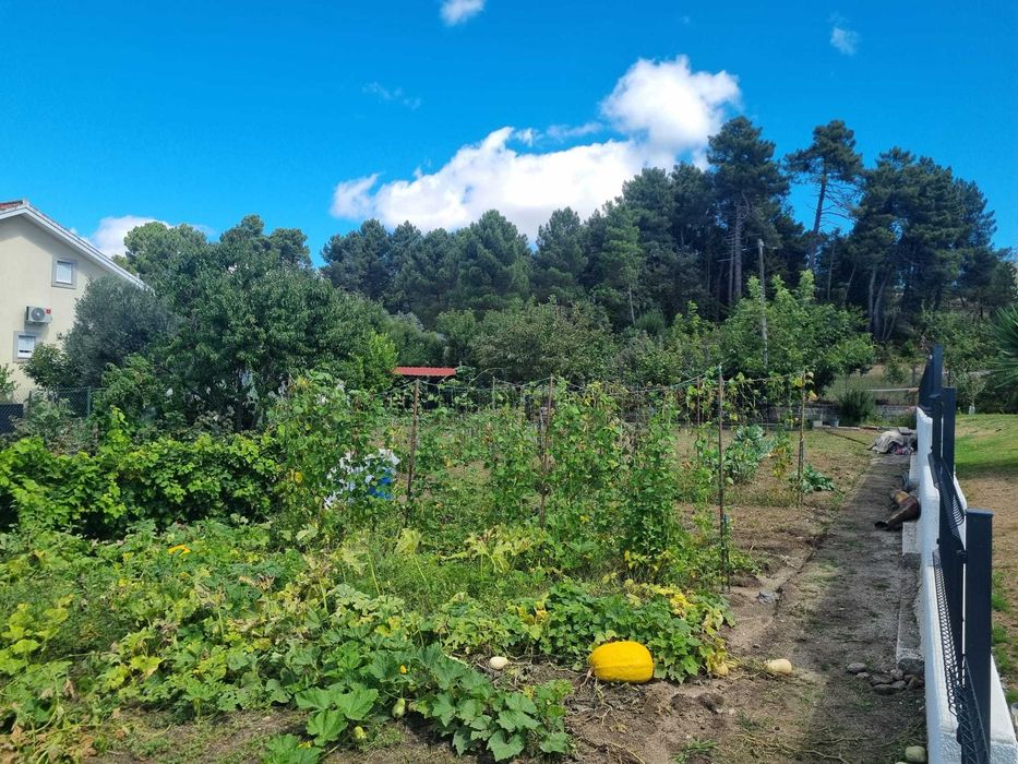 Terreno para construção em Mouçós e Lamares