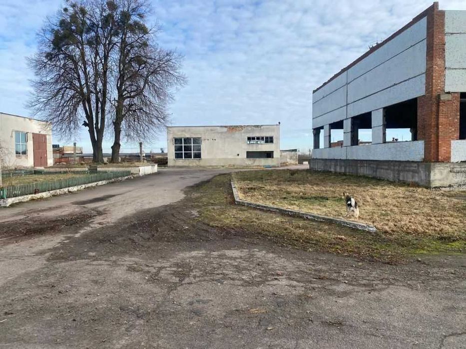 Продаж комерційного приміщення у селі Ременові