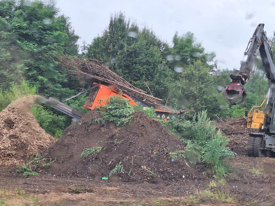 Rozdrabnianie gałęzi korzeni rębak