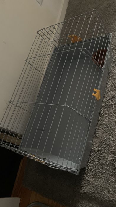 Gaiola para roedores