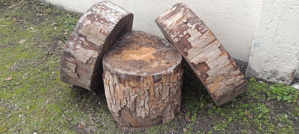 Toros de madeira,ideais para fazer mesas ou peças