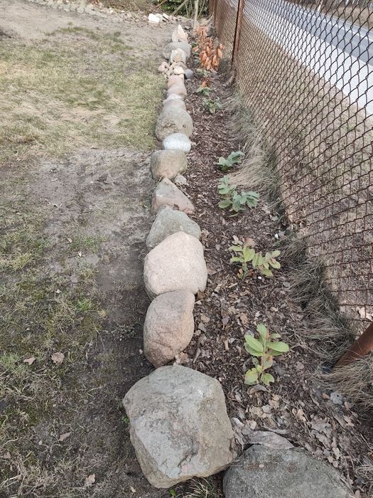 Kamienie polne oddam