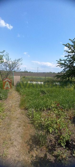 Продам дом в экологически чистом районе. Могилев. Орель.