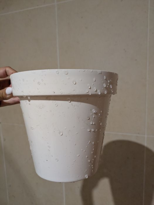 Vários vasos para plantas