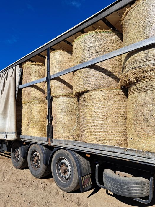 Słoma w balotach sucha 100% spod flizu